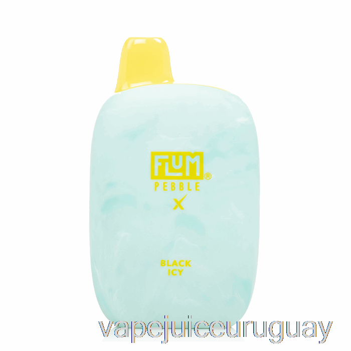 Flum Pebble X 6000 Vape Desechable Negro Icy Uruguay